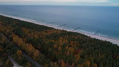 Luftperspektive-Des-Meeres,-Das-Auf-Den-Wald-Auf-Der-Halbinsel-Hel-Trifft