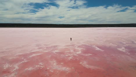 Following-drone-view-of-lone-person-walking-across-the-beautiful-Pink-Lake-Hutt-Lagoon-in-Western-Australia