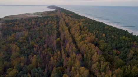 Forested-Hel-Peninsula-with-beach-and-sea-from-above