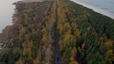 Bird's-eye-view-of-road-between-sea-and-forest,-Hel-Peninsula