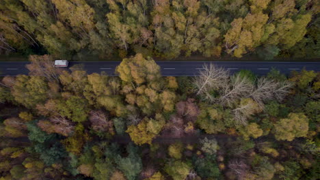 Aerial-top-down-view-of-a-van-driving-on-a-road-through-a-forest-with-autumnal-colors