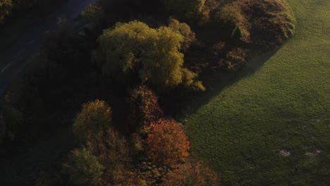 Aerial-view-looking-down-over-colourful-autumn-park-trees-and-rural-town-junction-traffic-with-early-morning-sunrise-light-leaks