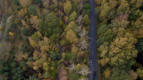 Car-driving-through-autumn-forest-on-Hel-Peninsula,-top-view