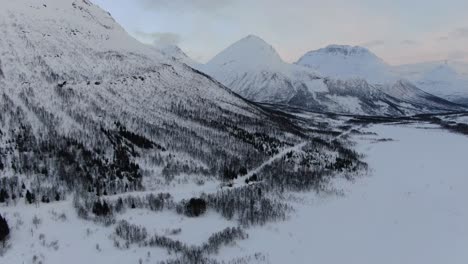 Drone-view-on-the-Tromso-mountains-in-winter-full-of-snow-showing-a-forest-from-above-in-Norway