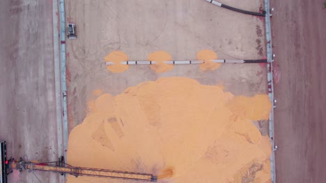 Top-down-Industrial-grain-storage-site-with-a-conveyor-belt-unloading-from-semi-trucks-into-a-large-pile