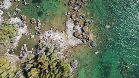 Aerial-topdown-of-forest-and-rocky-coastline-and-lake-water,-Les-Cheneaux-Islands,-Michig
