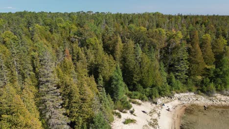 Aerial-view-of-forested-bay-in-Michigan-wilderness,-Les-Cheneaux-Islands