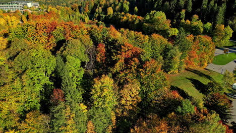 Luftdrohnenaufnahme-Eines-Wunderschönen-Waldgebiets-Mit-Wechselnden-Herbstfarben