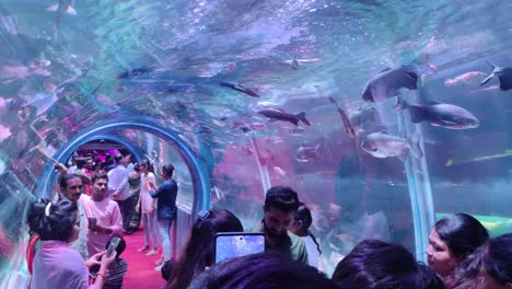 People-are-watching-the-fish-in-the-underwater-tunnel