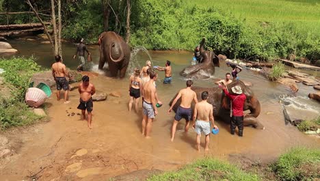 Jóvenes-Salpicando-Agua-Y-Dando-Baños-De-Barro-A-Elefantes-En-Park-Creek