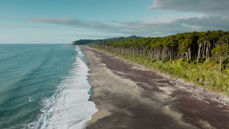 Aerial-drone-view-of-driftwood-washed-up-onto-beach-of-Bruce-Bay-with-dense-rimu-tree-covered-landscape-in-remoteness-of-South-Westland,-New-Zealand-Aotearoa