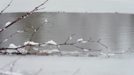 Schmaler-Fokus-Winterhintergrund:-Offenes-Wasser-Mit-Gefrorenem-Teich-Und-Dünnem-Eis