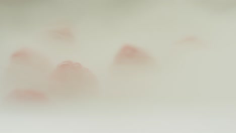 Rote-Himbeeren-Werden-Von-Rauch-Umhüllt,-Bis-Sie-Davongeblasen-Werden