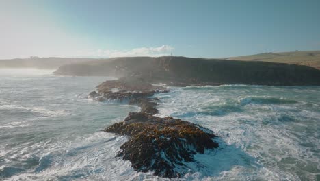 Vista-Aérea-Del-Paisaje-Marino-De-Olas-ásperas-Y-Salvajes-Rompiendo-Sobre-Rocas-Cubiertas-De-Algas-Y-Algas-En-La-Costa-De-Slope-Point-En-La-Isla-Sur-De-Nueva-Zelanda-Aotearoa