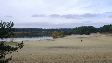 Time-lapse,-People-walking-around-a-beach-lake,-scenic-forest-environment,-Lommelse-Sahara