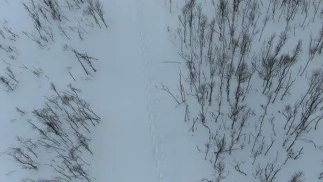 Drohnenansicht-In-Der-Gegend-Von-Tromso-Im-Winter,-Die-über-Einen-Schneebedeckten-Berg-Fliegt-Und-Einen-Blattlosen-Baumwald-Von-Der-Spitze-In-Segla,-Norwegen,-Zeigt
