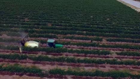 Vista-Aérea-Con-Drone-De-La-Fertilización-Mecánica-Del-Cultivo-De-Uva,-Parras-De-La-Fuente,-Coahuila,-México