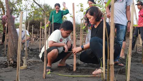 Indonesia---Nov-12,-2023-:-Asian-boy-planting-mangrove-trees-in-the-beach-area-with-his-mother