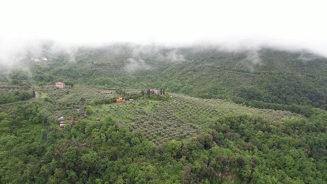 Orbit-aerial-olive-grove-with-low-lying-cloud-hanging-over-green-valley