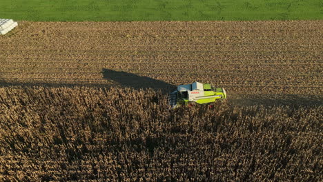 Corn-harvester-working-in-the-evening-sun-drone-truck