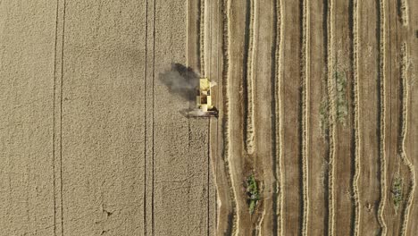 Static-over-the-top-aerial-view-of-grain-field-being-harvested-by-combine