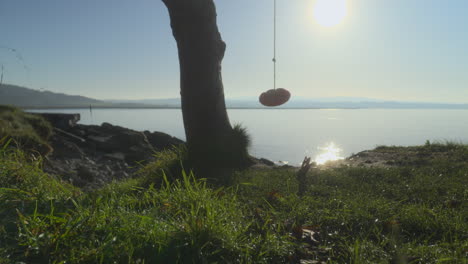 Rope-swing-on-shoreline-with-autumn-morning-sun-glistening-off-the-sea