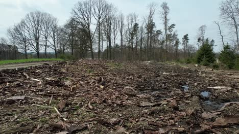 A-chase-drone-shot-of-a-forest-dieback-nearby-Cologne,-Germany