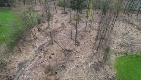 Eine-Drohnenaufnahme-Eines-Waldsterbens-In-Der-Nähe-Von-Köln