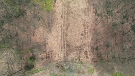 A-Top-Shot-with-a-drone-of-a-forest-dieback-nearby-Cologne,-Germany