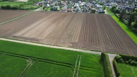 Reveal-Drone-Shot-of-a-field-of-Asparagus-in-Germany
