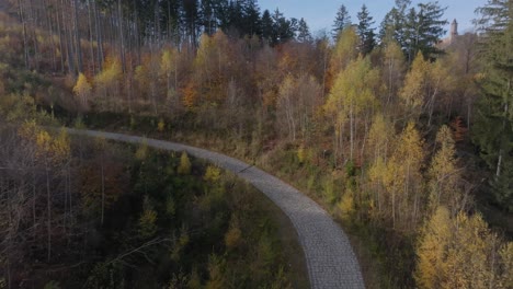 Forest-topdown-way-in-Lower-Silesian,-Poland