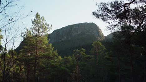 Hildremsvatnet,-Condado-De-Trondelag,-Noruega---Una-Vista-De-árboles-Con-Una-Montaña-Rocosa-Lejana-Al-Fondo---Toma-Manual