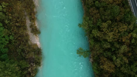 The-iconic-emerald-blue-water-of-the-Soča-Isonzo-river-in-the-alps-in-Slovenia