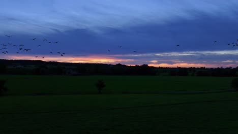 Silhouettes-of-Geese-migrating,-colourful-background-of-sunset-skies