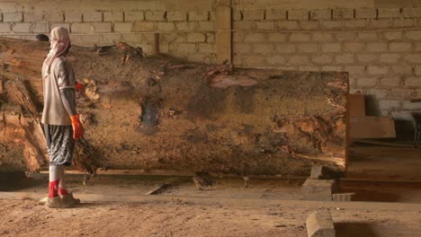 Madera-De-Aserradero-Preparando-Un-Gran-Tronco-De-árbol-Antes-De-Cortar,-Mano-De-Obra-Negra-Africana