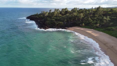 Aerial-view-over-transparent-ocean-water-foaming-at-the-shore,-green-trees-and-sand-meets-rocks,-gorgeous-tropical-nature-of-Hawaii,-Kauai-island,-Donkey-beach,-peaceful-Pacific-coastline-of-USA