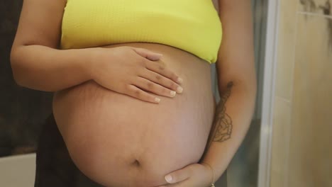 Hochschwangere-Mischlingshündin-Hält-Ihren-Babybauch-Im-Badezimmerspiegel
