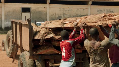 team-of-carpenter-loading-a-truck-with-wooden-trunk-in-a-sawmill