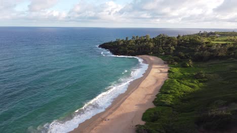 Aerial-view-over-clear,-transparent-ocean-water,-washing-the-golden-sand-of-the-beach,-green-trees,-where-sand-meets-rocks,-tropical-nature-of-Hawaii,-Kauai-island,-peaceful-Pacific-coastline-of-USA