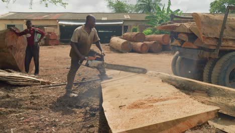 black-African-lumber-cutting-a-big-tree-trunk-with-chainsaw-in-africa