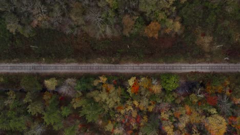 Train-Railroad-In-Forest-With-Fall-Color-Foliage,-Top-Down-Aerial-Shot
