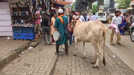 Mumbai,-Indien---20.-August-2023:-Eine-Heilige-Kuh-Wird-Durch-Einen-Belebten-Marktplatz-In-Mumbai,-Indien-Geführt