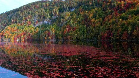 Aerial-view-low-over-red-leaves-in-water,-front-of-autumn-colored-mountains
