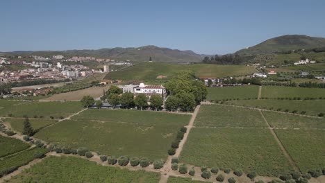 Aerial-view-of-the-luxurious-Wine-House-Hotel-in-Lamego,-in-the-heart-of-the-Douro-region,-Quinta-da-Pacheca-is-surrounded-by-extensive-private-grounds-with-vineyards