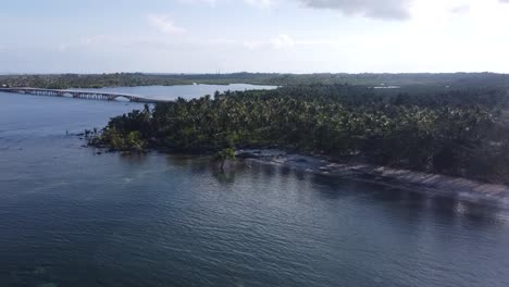 Mangroves-and-palm-forests-near-Estuary-and-Catangnan-bridge-in-Siargao,-Aerial