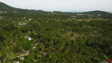 Pequeño-Pueblo-Y-Mágico-Paisaje-Tropical-De-Bosque-De-Palmeras,-Vista-Aérea