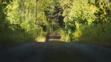 A-narrow-dirt-road-leads-through-the-sunlit-forest