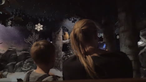 Boy-with-mother-traveling-through-winter-forest-in-amusement-park