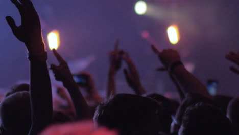 Crowd-of-fans-at-the-concert-of-favourite-band