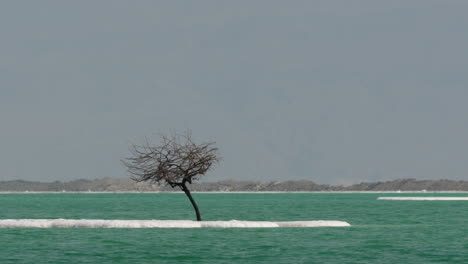 Islotes-Salados-En-Agua-Pura-Del-Mar-Muerto